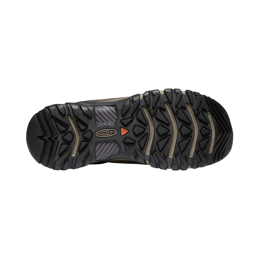 Targhee 3 keen new arrivals